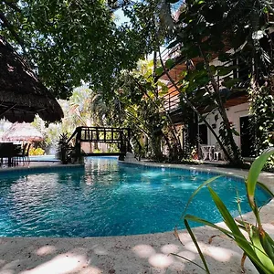Mayan Art Hotel A Unos Pasos De La 5A Avenida Hotel Playa del Carmen