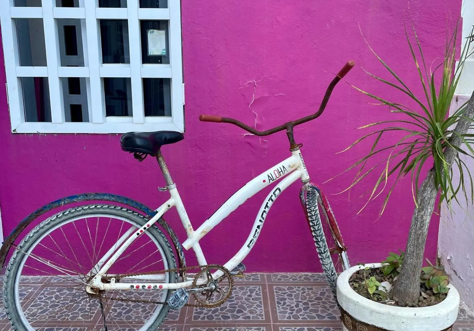 Pachamama Holbox - Hostel & Private Apartments