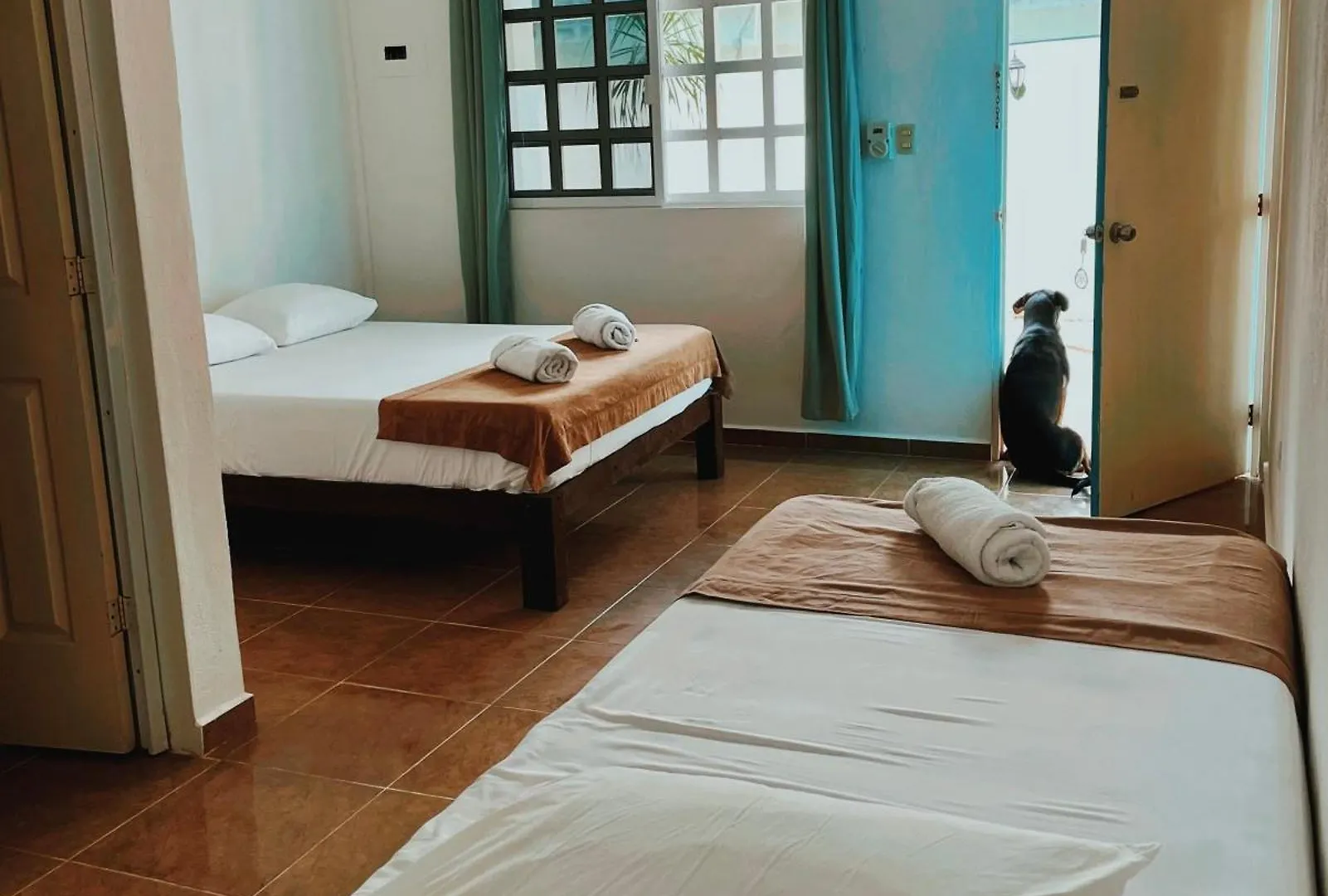 Pachamama Holbox - Hostel & Private Apartments